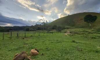 Imagem 4: Fazenda em Silva Jardim/RJ