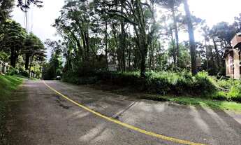 Imagem 4: Terreno - Bairro Planalto