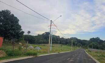 Imagem 7: Bosque Santa Clara