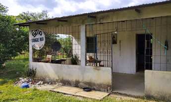 Imagem 3: SÍTIO NO JANAUARI