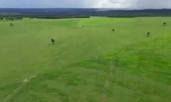 Imagem: Fazenda de arrendamento 1.100hec em Itiquira