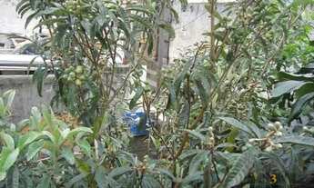 Imagem 5: Terreno à venda, 300 m² por R$ 3.200.000,00 - Alta da Lapa - São Paulo/SP