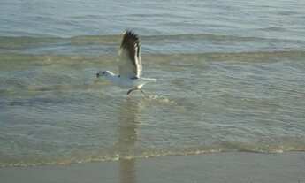 Imagem 7: Réveillon - Ano novo - 2026 - Paraíso à Beira-Mar: Cabo Frio com Vista Deslumbrante