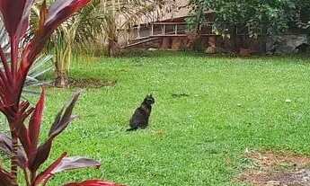 Imagem 3: PROPRIEDADE DE ALTO PADRÃO PARA ALUGUEL NO SMT