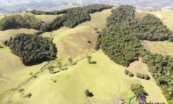 Imagem 6: SÍTIO - CENTRO - SP