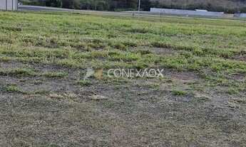 Imagem 5: Terreno - Loteamento Alphaville Campinas - Campinas