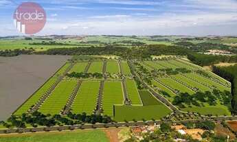Imagem 7: Terreno à venda, 250 m² por R$ 250.000,00 - Recreio Anhangüera - Ribeirão Preto/SP