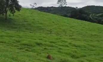 Imagem: Vende -se chácara de 2/70 alqueires, no