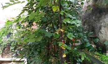 Imagem 7: Casa em Rua Tenente Garro - Santa Efigênia - Belo Horizonte/MG