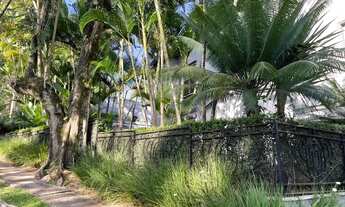 Imagem 3: Casa para locação no residencial Alphaville 1