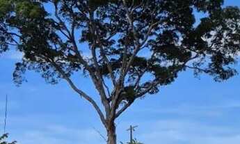 Imagem: Sítio vicinal Barra do Vento