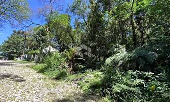 Imagem 4: Terreno a venda Vila Suzana em Canela