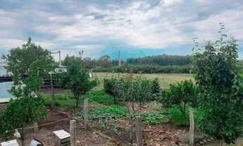 Imagem 5: Sítio no bairro Corredor dos Farias em Hulha Negra!