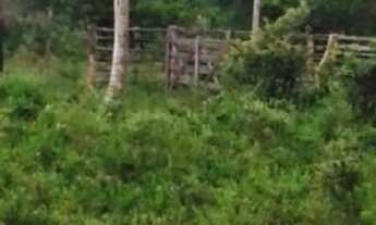 Imagem 7: Fazenda/Sítio/Chácara para venda com 1900000 metros quadrados em Sítio do Conde - Conde