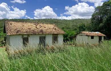 Imagem 7: Terreno 4.5 ha, 100% formado em pastagem, agua corrente nos fundos, pomar
