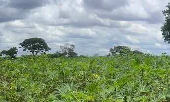 Imagem 7: Chácara Vende Chácara com venda por R$1.700.000