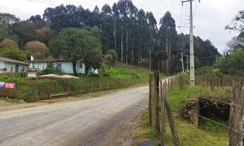 Imagem 4: Chácara formada Campo Magro 56.000² ou 5,6 hectares com casa sede e caseiro