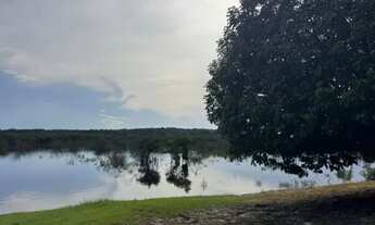Imagem 4: SÍTIO COM VISTA PARA O RIO, TARUMÃ MIRIM, ACESSO PELO RIO E BR174
