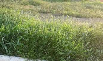 Imagem 3: Terreno a venda residencial Luiza - Paulinia