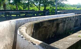 Imagem 7: Fazenda 1994 hectares documentada Cuiabá mt