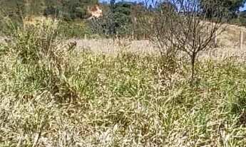 Imagem 7: Terrenos para venda possui 500 metros quadrados em Vila São Domingos - São Roque - SP