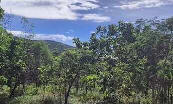 Imagem 2: Terrenos de 1.000m² a 19 km de Pirenópolis com oferta para os 10 primeiros