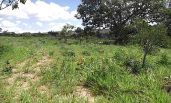 Imagem 7: Lindas fazendinhas de 20 mil metros 100% plana, Jaboticatubas(Temos varias opções)