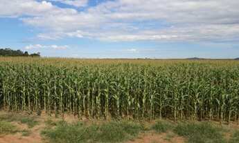 Imagem 7: R$32.3 milhões de reais 646 alqueires 321 alqueires de abertura dupla aptidão