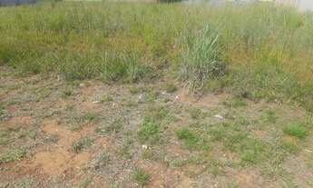 Imagem 5: Lote com localização privilegiada