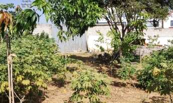 Imagem 7: Hortolândia - Terreno Padrao - Chácaras Fazenda Coelho