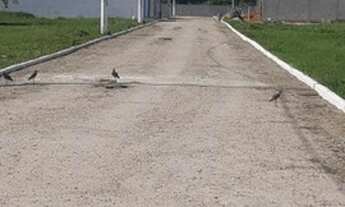 Imagem 2: Rio de Janeiro - Terreno Padrão - Recreio dos Bandeirantes
