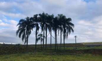 Imagem 7: Sao Jose dos Campos - Terreno Padrão - Bom Retiro