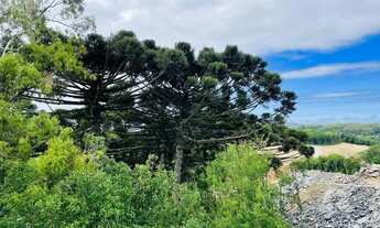 Imagem 2: CAXIAS DO SUL - Terreno Padrão - Desvio Rizzo