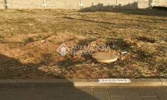 Imagem 5: PORTO ALEGRE - Terreno Padrão - Lomba do Pinheiro