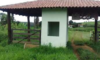 Imagem 5: Santo Antonio do Descoberto - GO