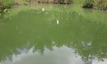 Imagem 2: CHÁCARA NO CANTAR