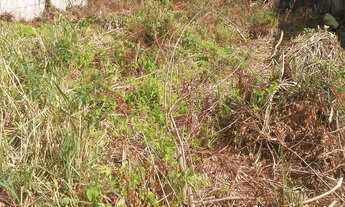 Imagem 3: TERRENO NO CORAÇÃO DO ROCHA C/ MENOR VALOR M² DA REGIÃO