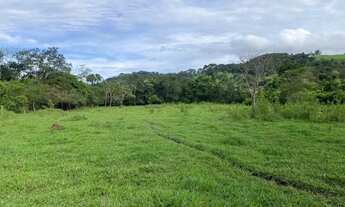 Imagem 7: Chácaras a venda em damolandia ha 50 km de Goiânia !
