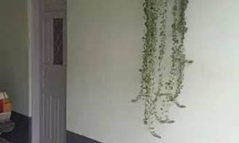 Imagem 3: Chacara de 800m2 no bairro ipanema das pedras