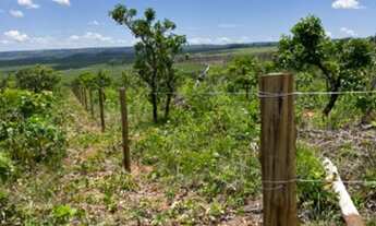 Imagem 7: Terreno Chapada dos Guimaraes