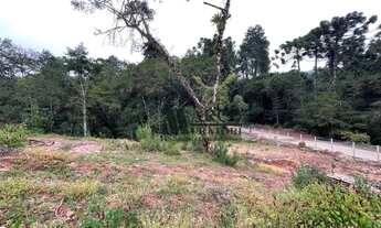 Imagem 1: Terreno à venda, 1182 m² por R$ 364.000,00 - Vale Encantado - Campos do Jordão/SP