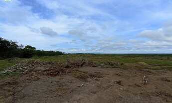 Imagem 2: FAZENDA À VENDA NO VALE DO ARAGUAIA - TO - 1.186 HECTARES (DUPLA APTIDÃO