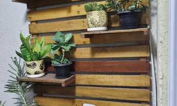 Imagem 6: Ideal Flores da Cidade