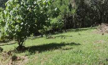 Imagem 7: Lindos terenos pra venda de barbada em novo Hamburgo