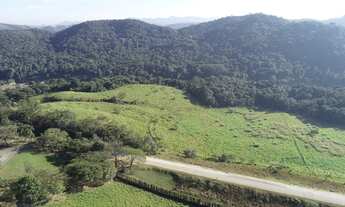 Imagem 2: Área ZUPI com 31.726 m², com frente para a Estrada Gregório Spina