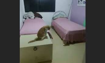 Imagem: Apartamento para aluguel possui 150m2 com