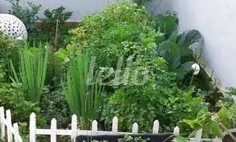 Imagem 2: Santo André - Apartamento Padrão - Vila Pires