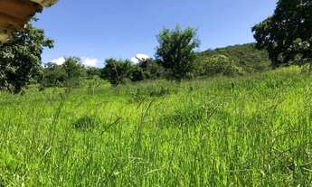 Imagem 3: Fazenda 20 Alqueires -Hidrolândia 62-