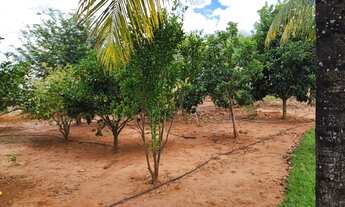 Imagem 3: Vendo ou troco sítio