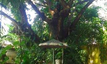 Imagem 4: Casa de 112 metros quadrados no bairro Casa Forte com 2 quartos, terreno com 468 m2